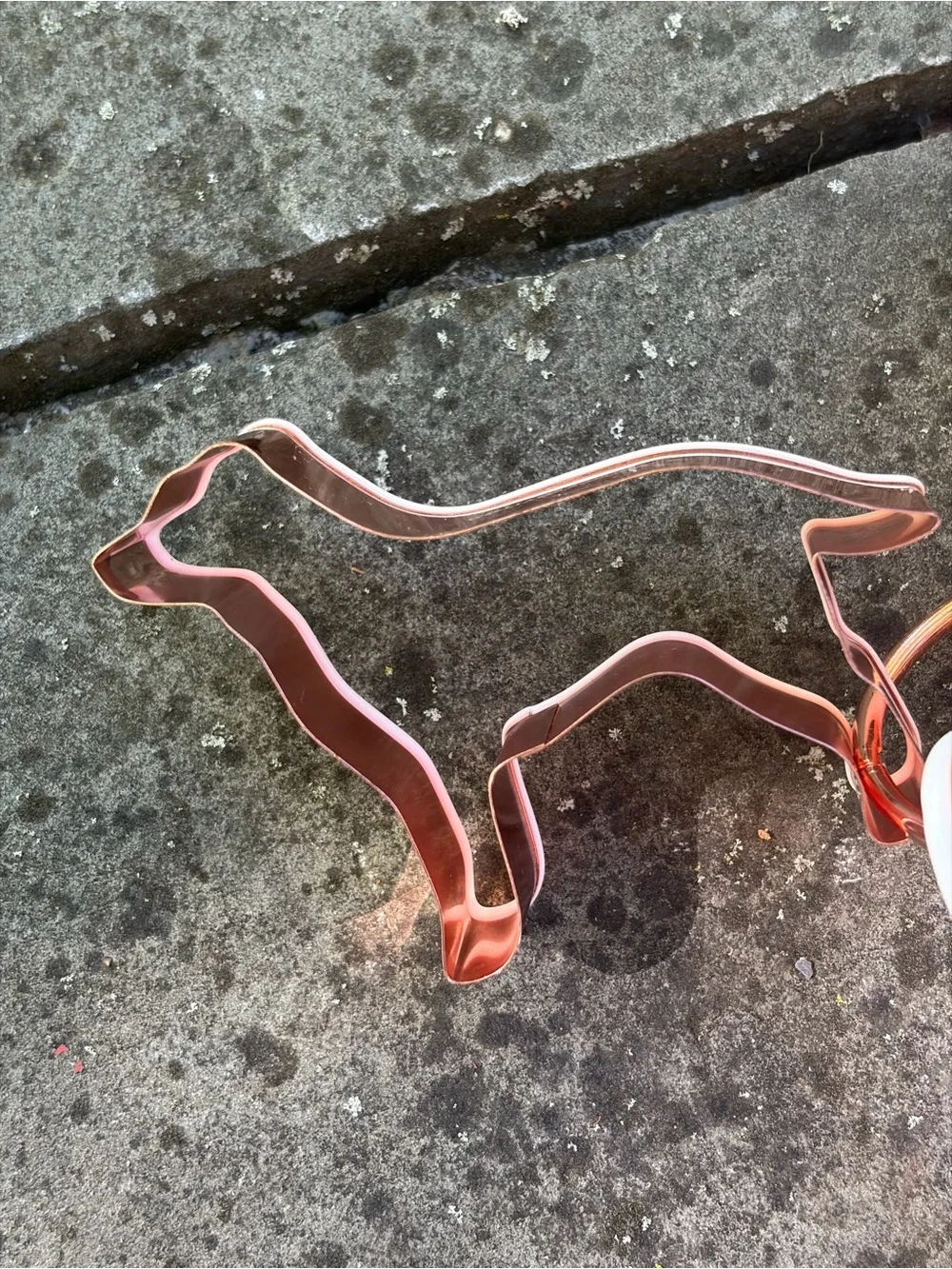 6 Williams Sonoma Copper Coated Animals Cookie Cutters - All Seasons - NIP!!